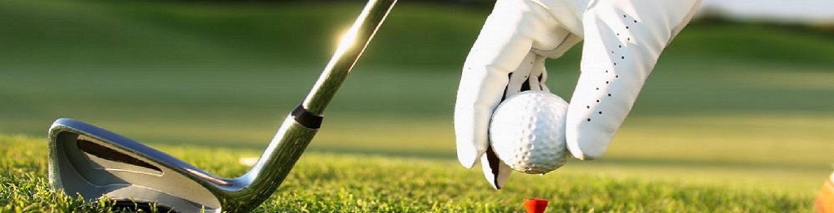 Delft Golf Club